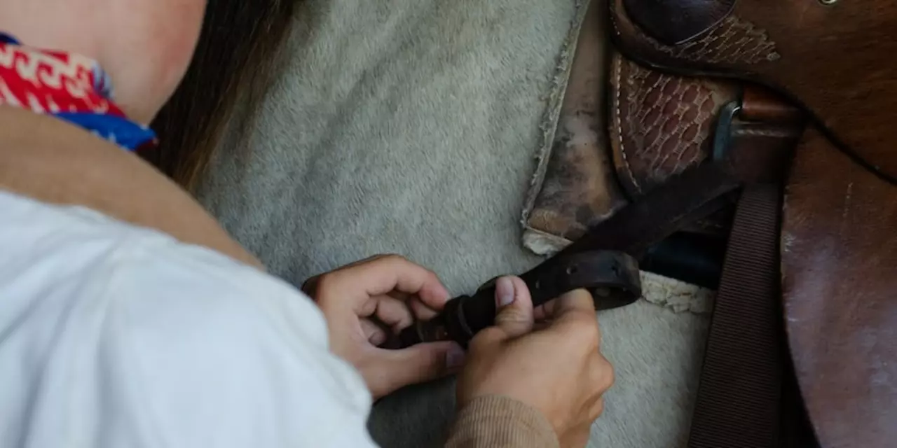 How can people make cheesy ground beef and rice casserole?
