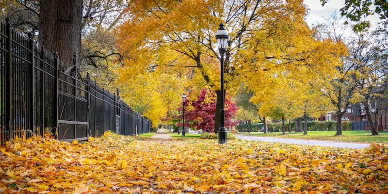 What Indian recipe is most popular outside India?